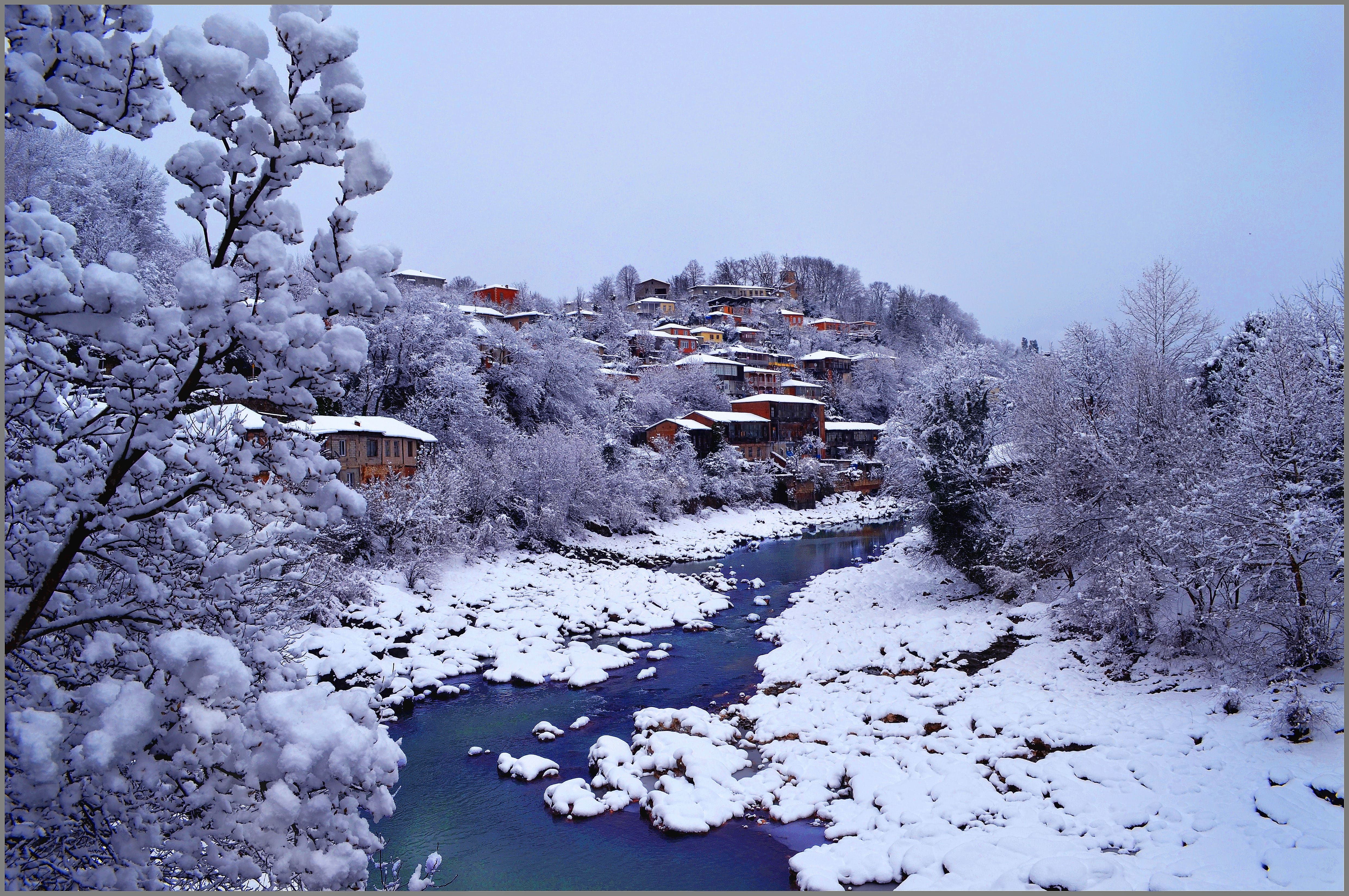 קוטאיסי קוטאיסי