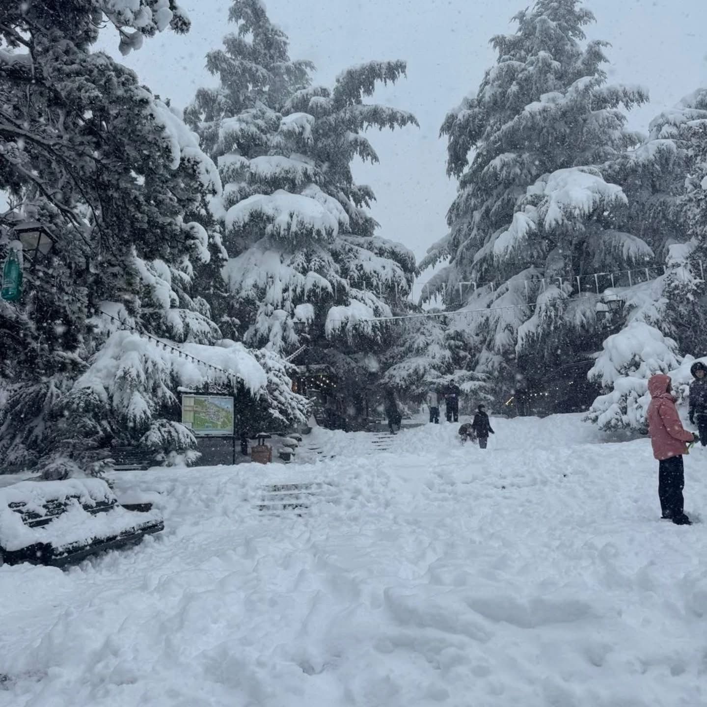 פארק מטאטסמינדה