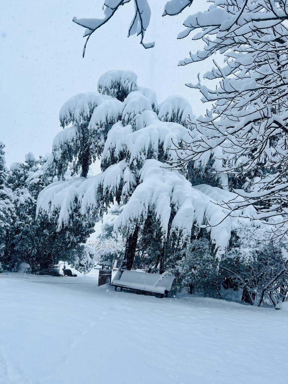 פארק מטאטסמינדה