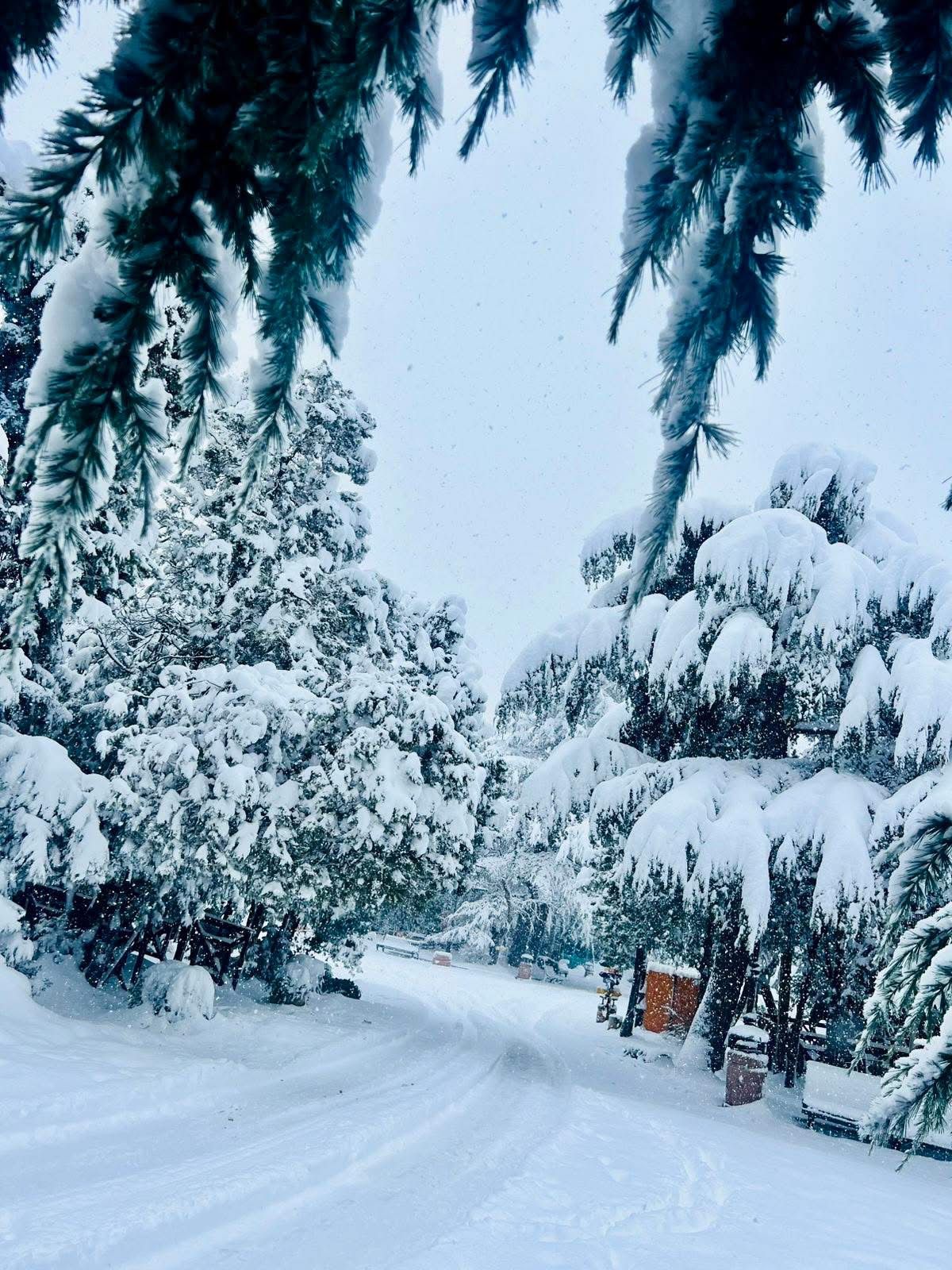 פארק מטאטסמינדה