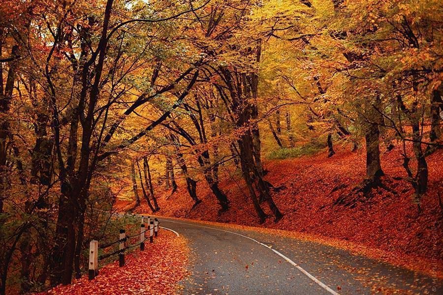 Gombori Pass