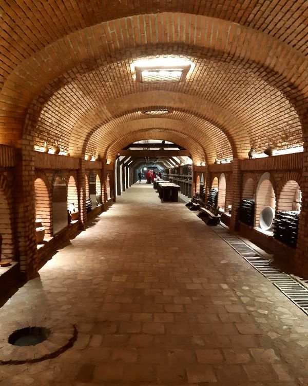 מערת היין קווארלי בגאורגיה