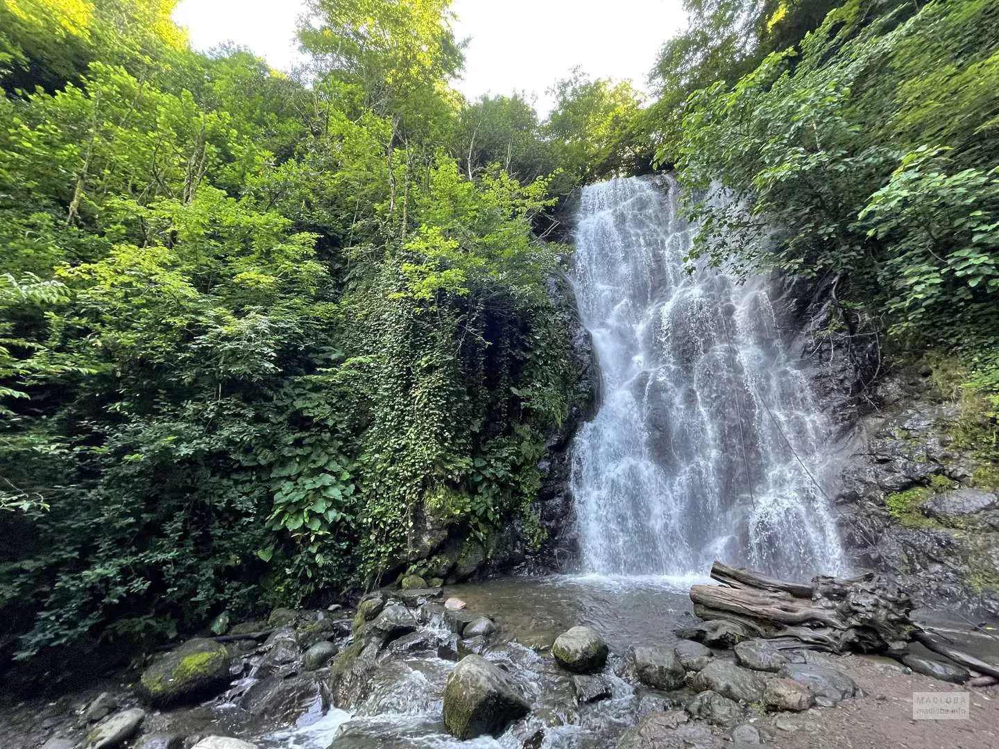 Batumi Waterfalls Tour 💦💦 Batumi Waterfalls Tour 💦💦