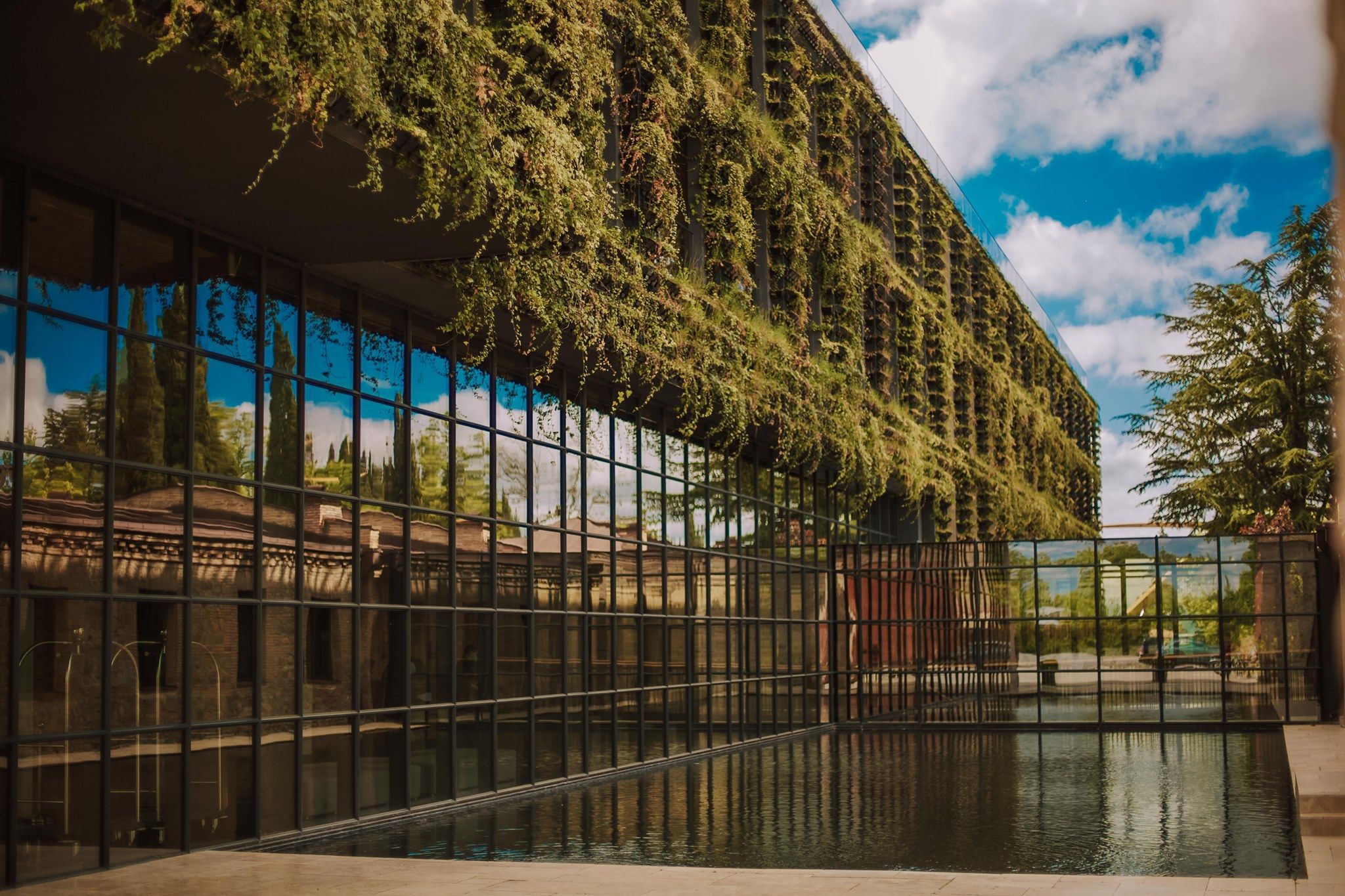 Tsinandali Estate, A Radisson Collection Hotel Tsinandali Estate, A Radisson Collection Hotel