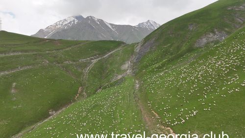 Gudauri Friendship Monument