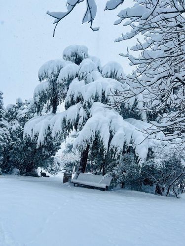 פארק מטאטסמינדה