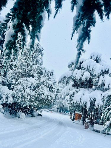 פארק מטאטסמינדה