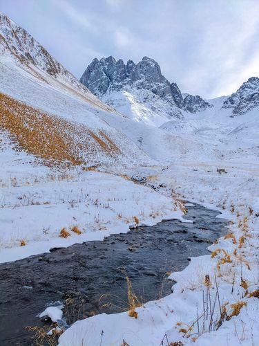 ג'וטה גאורגיה