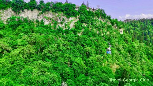 Borjomi Cable car